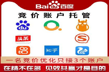 某电商平台的SEM推广策略——代运营公司的实践